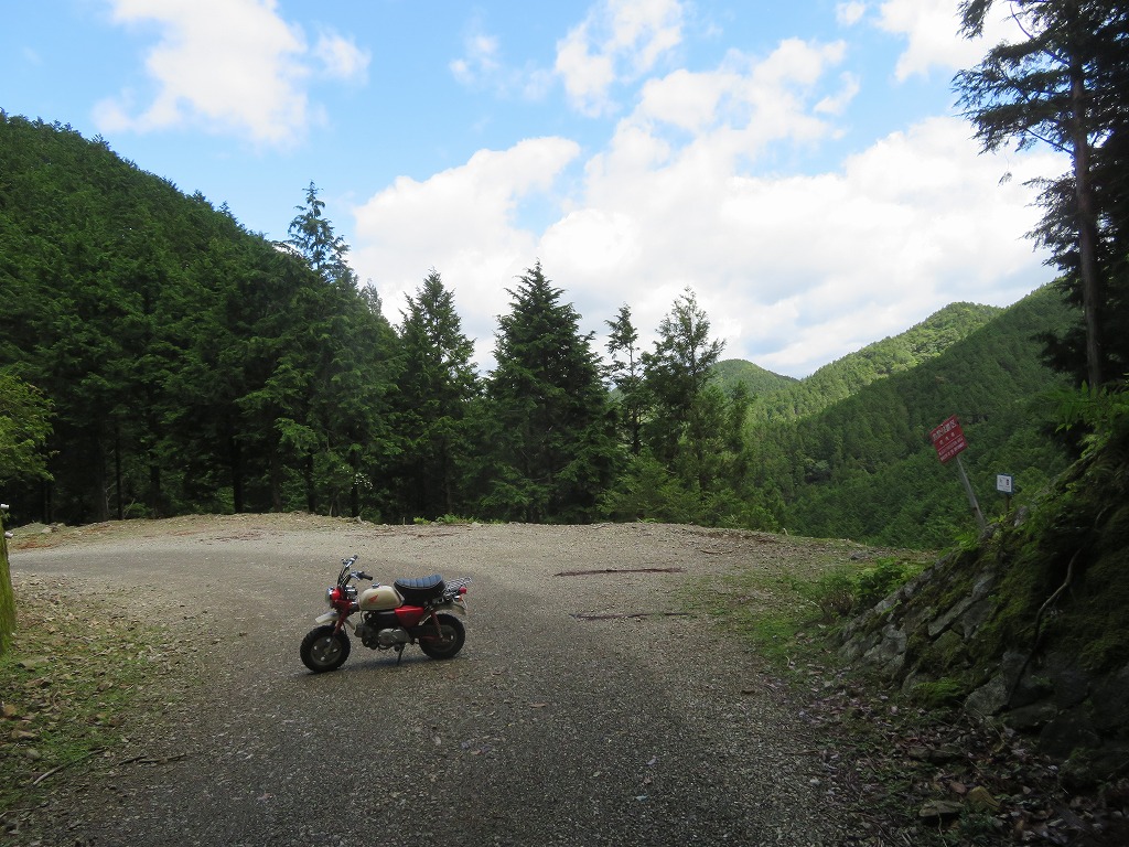 f:id:poseidonttzr:20190617093528j:plain f:id:poseidonttzr:20190617093528j:plain