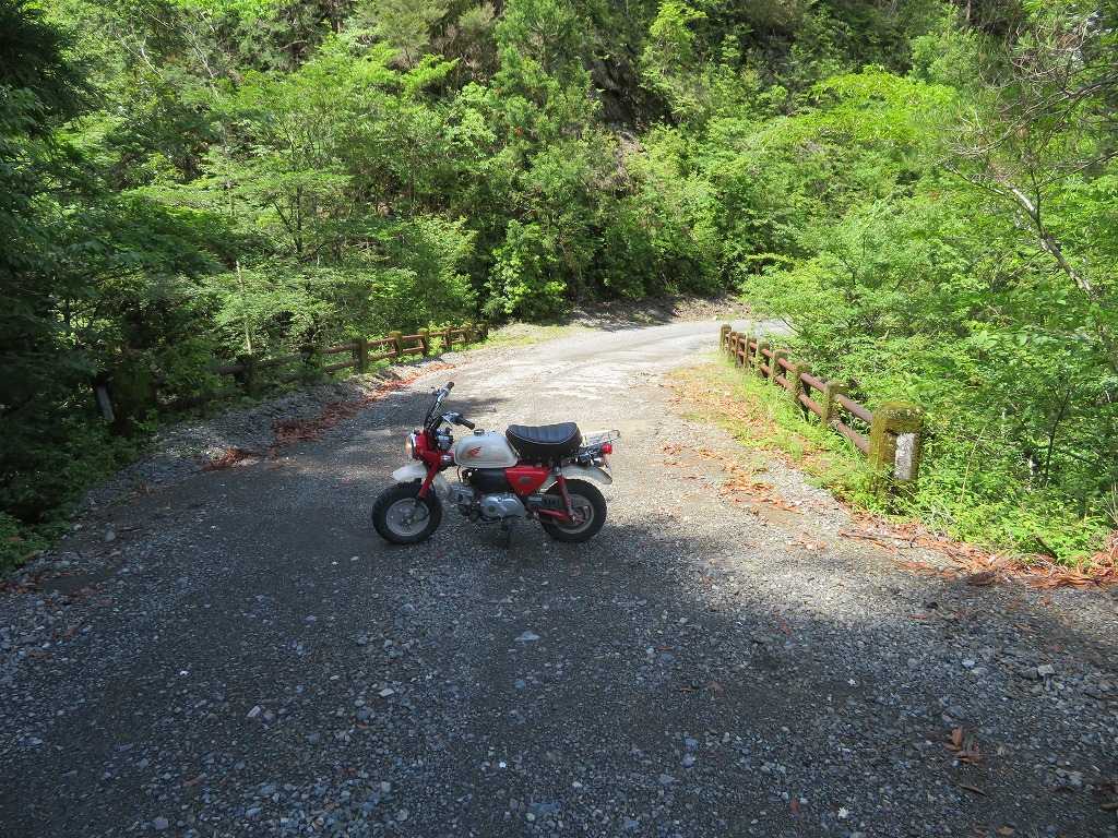 f:id:poseidonttzr:20190617095648j:plain f:id:poseidonttzr:20190617095648j:plain