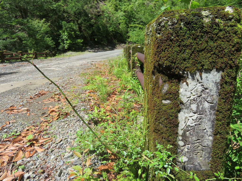 f:id:poseidonttzr:20190617095753j:plain f:id:poseidonttzr:20190617095753j:plain