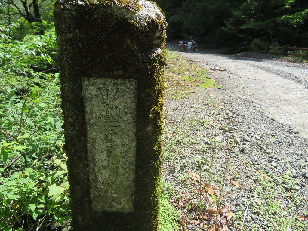 f:id:poseidonttzr:20190617095828j:plain f:id:poseidonttzr:20190617095828j:plain