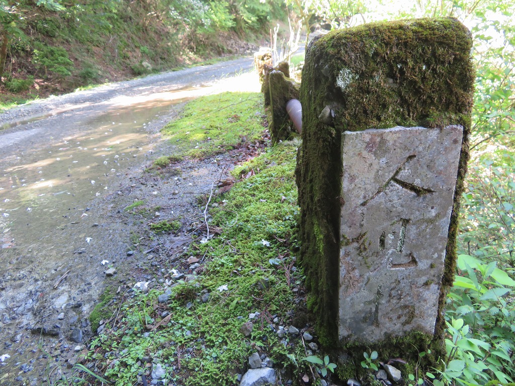 f:id:poseidonttzr:20190617102657j:plain f:id:poseidonttzr:20190617102657j:plain