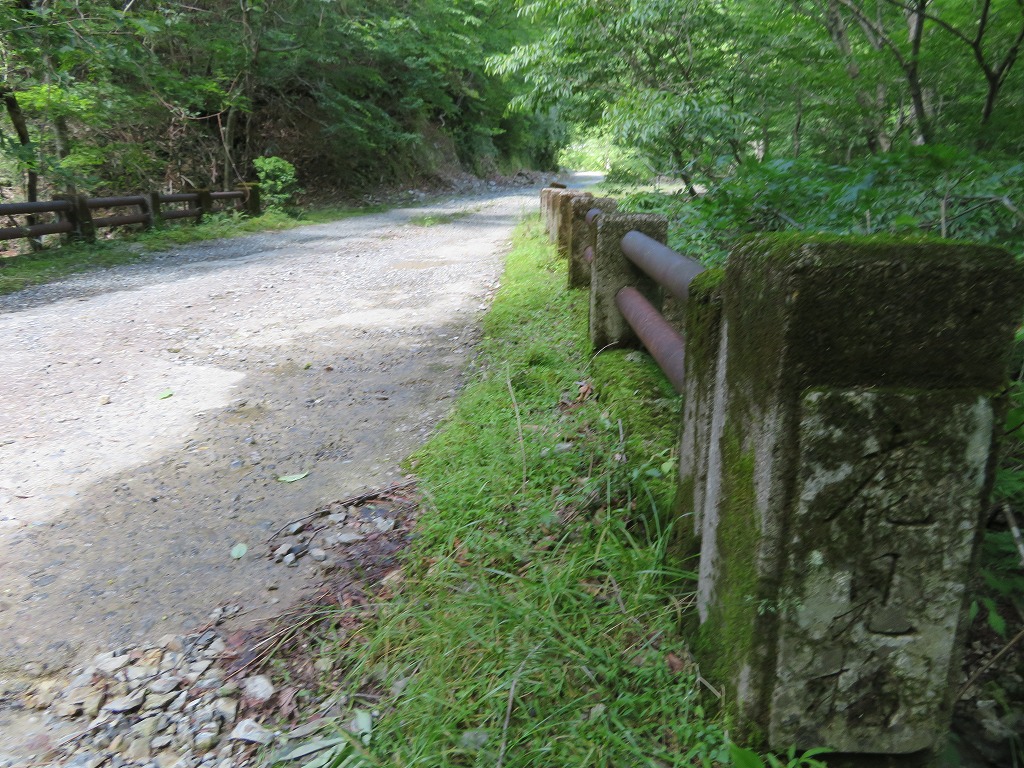 f:id:poseidonttzr:20190617103656j:plain f:id:poseidonttzr:20190617103656j:plain