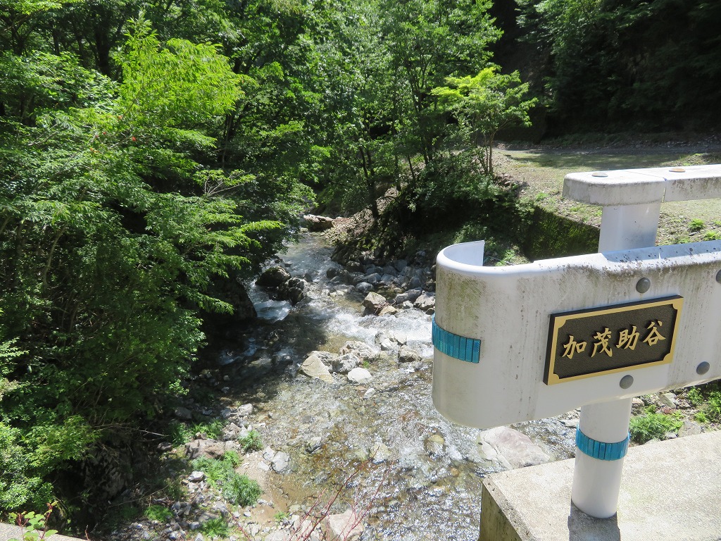 f:id:poseidonttzr:20190617104345j:plain f:id:poseidonttzr:20190617104345j:plain