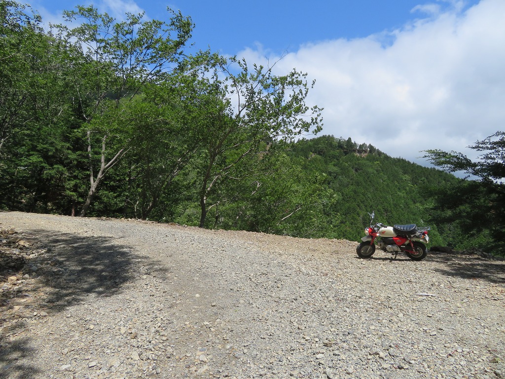 f:id:poseidonttzr:20190618101308j:plain f:id:poseidonttzr:20190618101308j:plain