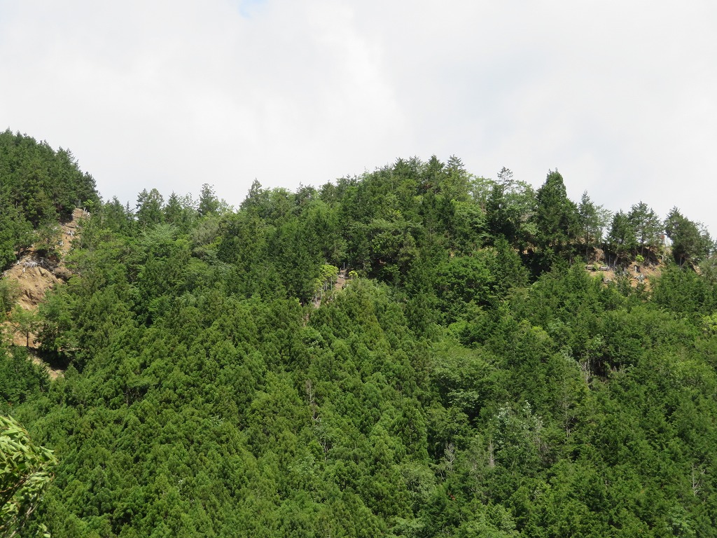 f:id:poseidonttzr:20190618101419j:plain f:id:poseidonttzr:20190618101419j:plain