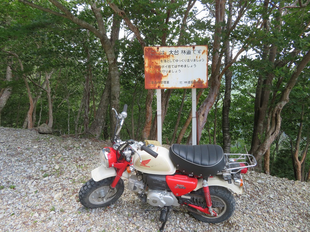 f:id:poseidonttzr:20190618103207j:plain f:id:poseidonttzr:20190618103207j:plain