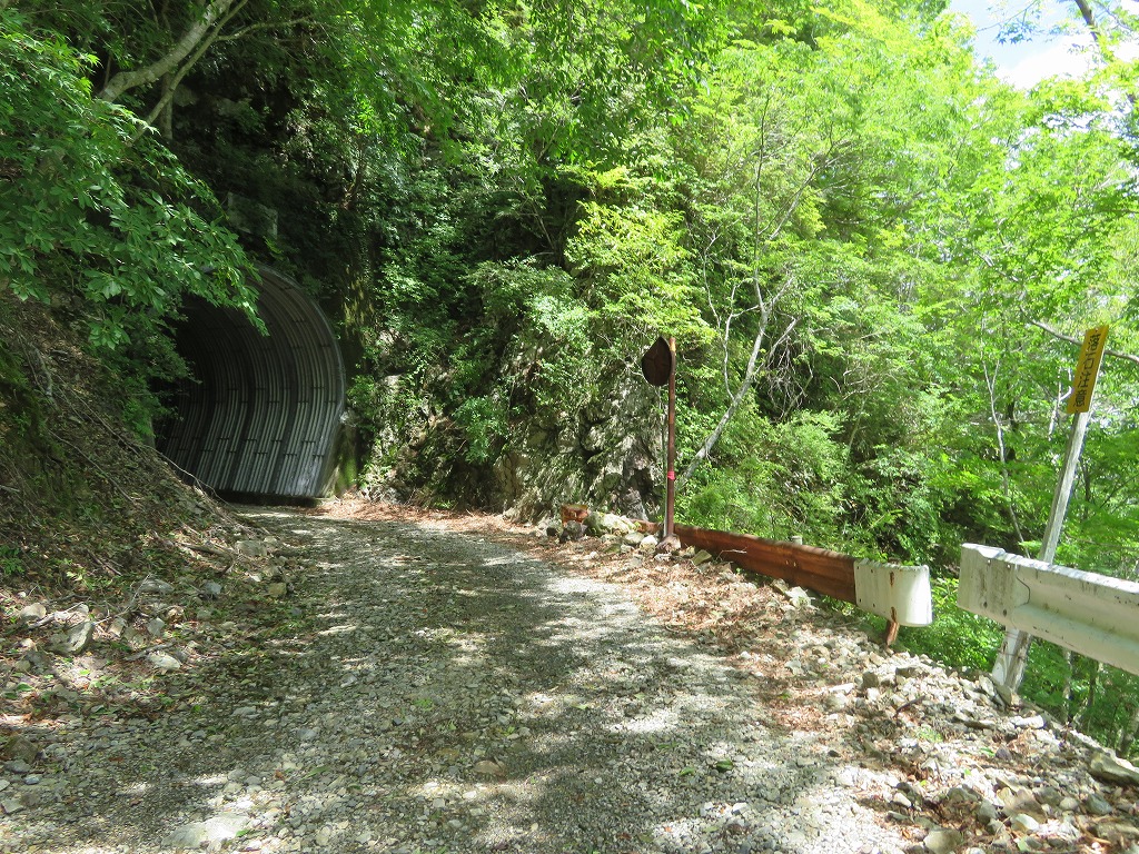 f:id:poseidonttzr:20190618103800j:plain f:id:poseidonttzr:20190618103800j:plain