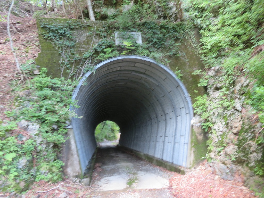 f:id:poseidonttzr:20190618103833j:plain f:id:poseidonttzr:20190618103833j:plain