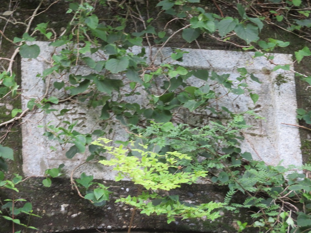 f:id:poseidonttzr:20190618103903j:plain f:id:poseidonttzr:20190618103903j:plain