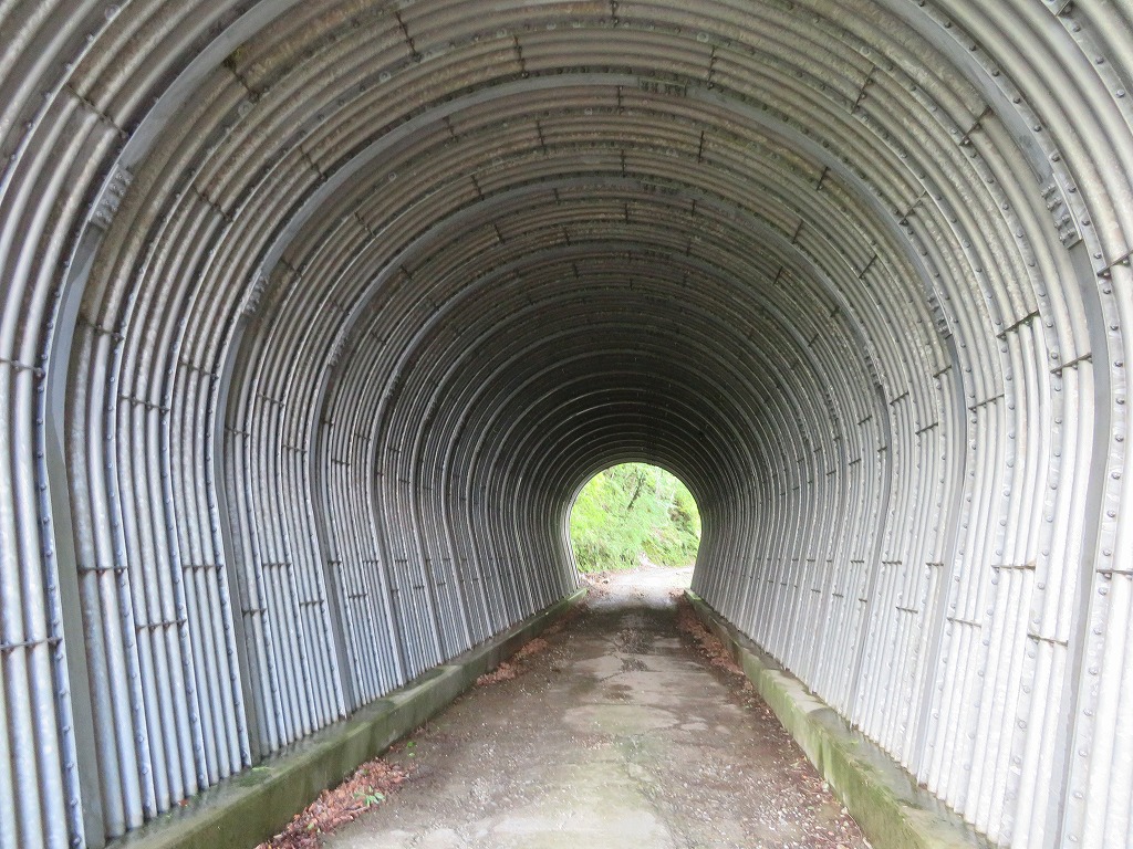 f:id:poseidonttzr:20190618104237j:plain f:id:poseidonttzr:20190618104237j:plain