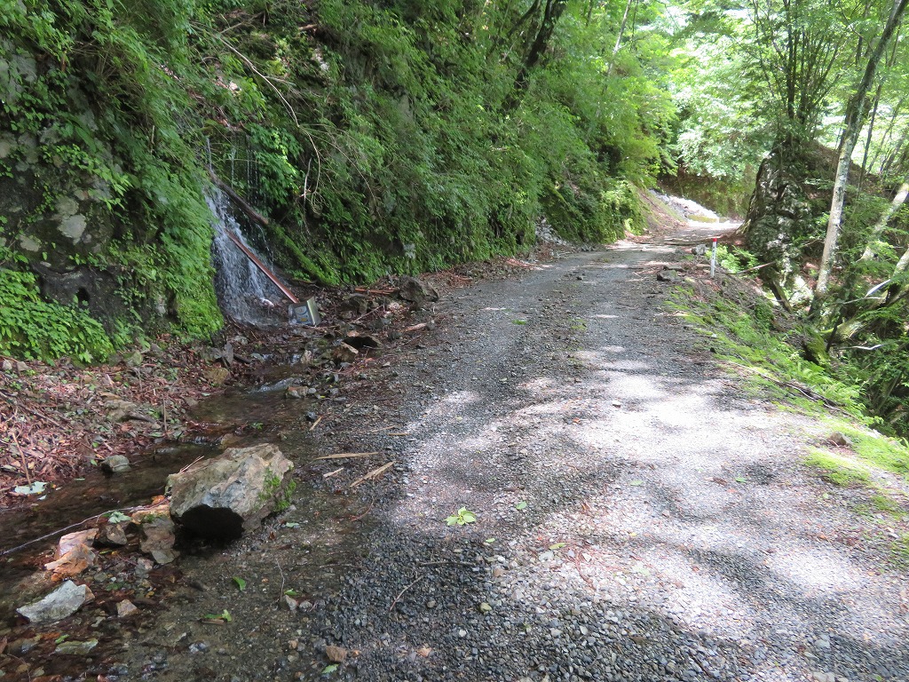 f:id:poseidonttzr:20190618104759j:plain f:id:poseidonttzr:20190618104759j:plain