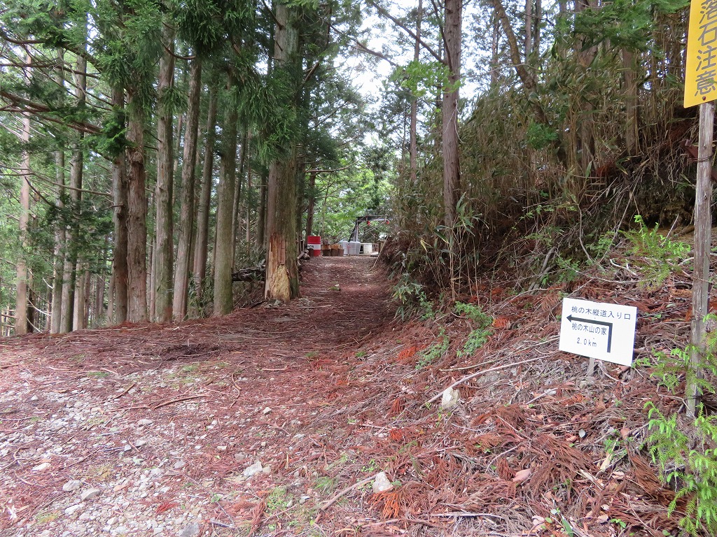 f:id:poseidonttzr:20190618110711j:plain f:id:poseidonttzr:20190618110711j:plain