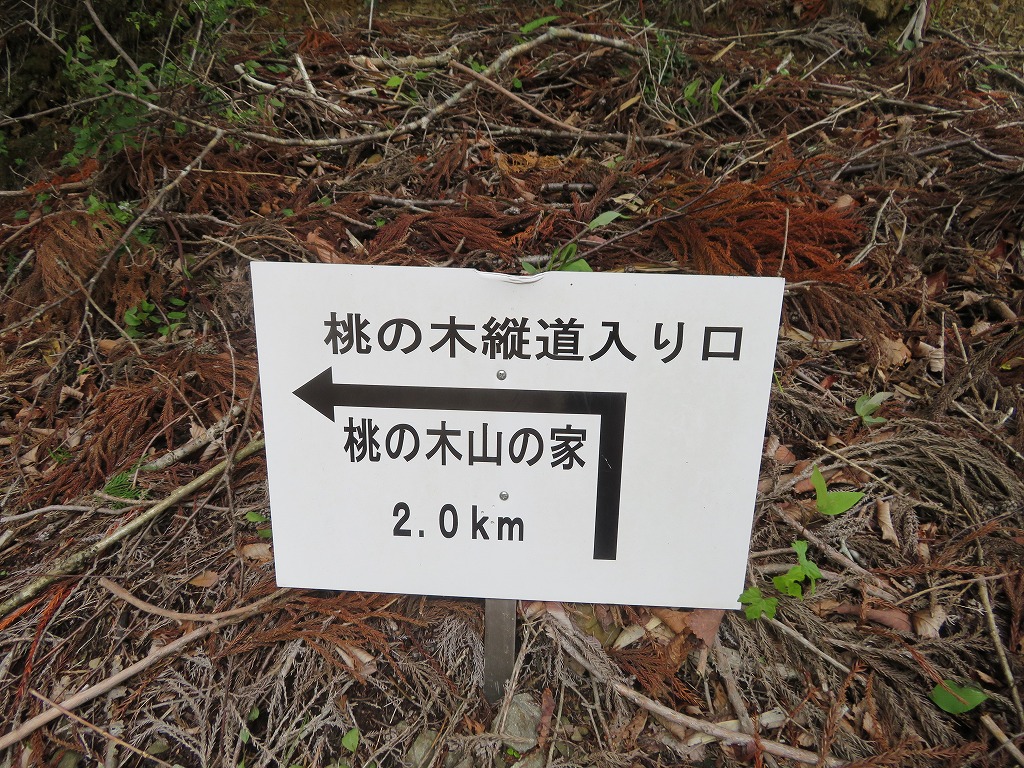 f:id:poseidonttzr:20190618110738j:plain f:id:poseidonttzr:20190618110738j:plain