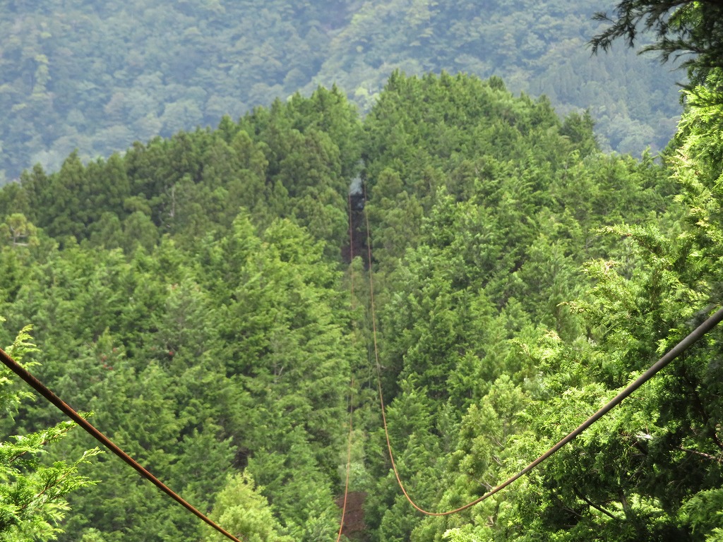 f:id:poseidonttzr:20190618111150j:plain f:id:poseidonttzr:20190618111150j:plain