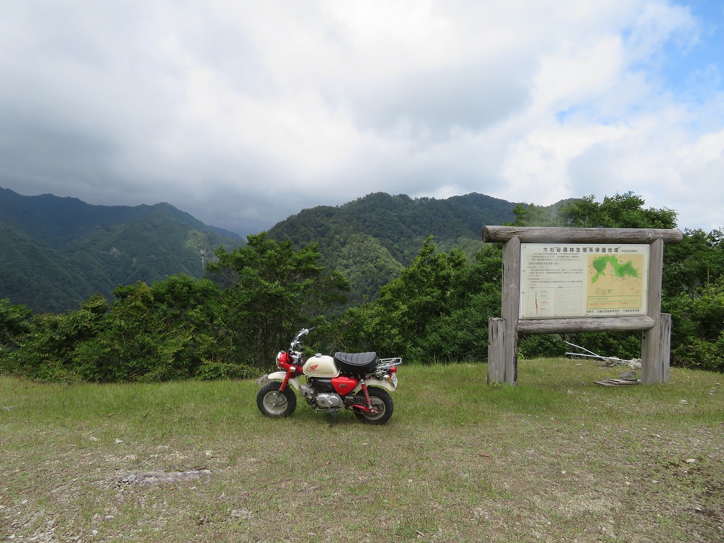 f:id:poseidonttzr:20190618111816j:plain f:id:poseidonttzr:20190618111816j:plain