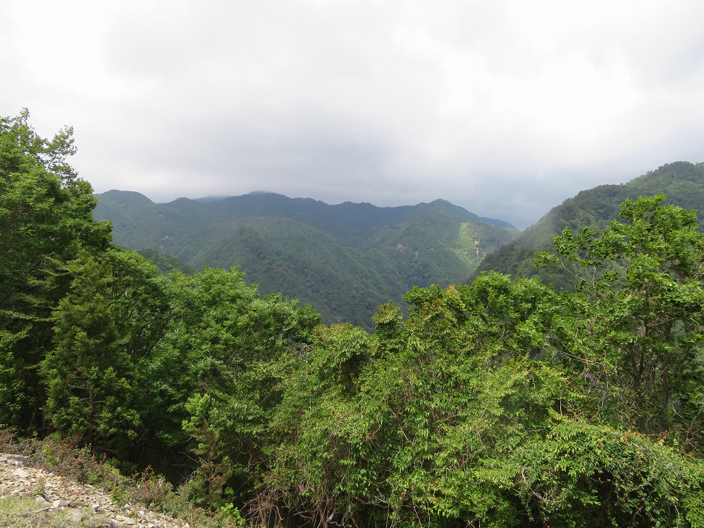 f:id:poseidonttzr:20190618111932j:plain f:id:poseidonttzr:20190618111932j:plain