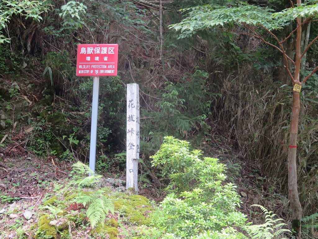 f:id:poseidonttzr:20190618114038j:plain f:id:poseidonttzr:20190618114038j:plain