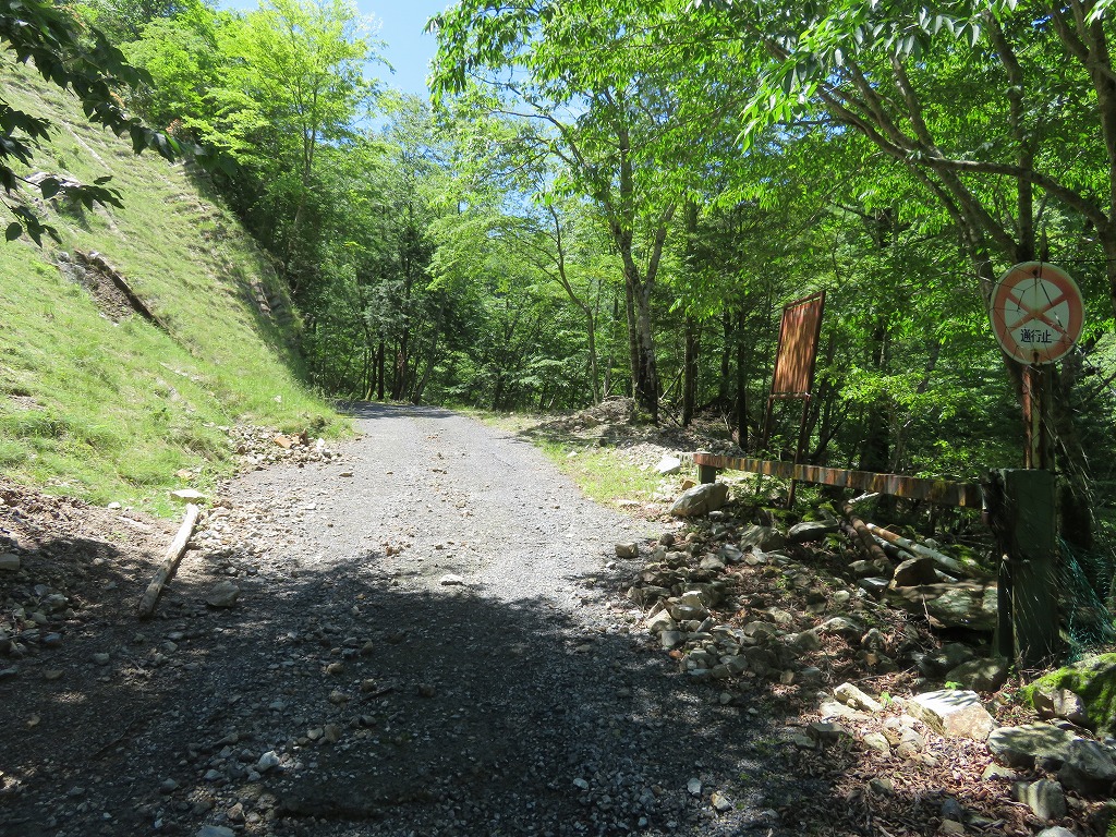 f:id:poseidonttzr:20190618145711j:plain f:id:poseidonttzr:20190618145711j:plain