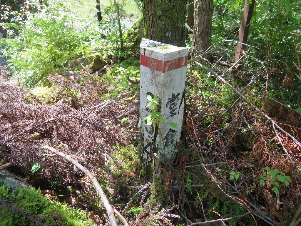 f:id:poseidonttzr:20190618145749j:plain f:id:poseidonttzr:20190618145749j:plain