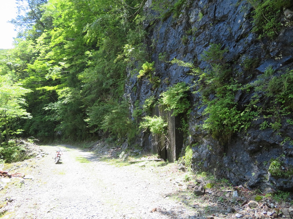 f:id:poseidonttzr:20190618150139j:plain f:id:poseidonttzr:20190618150139j:plain