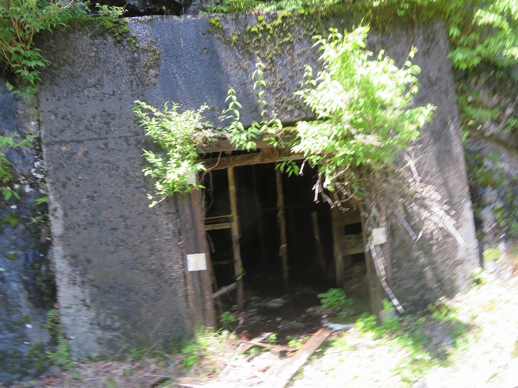 f:id:poseidonttzr:20190618150258j:plain f:id:poseidonttzr:20190618150258j:plain