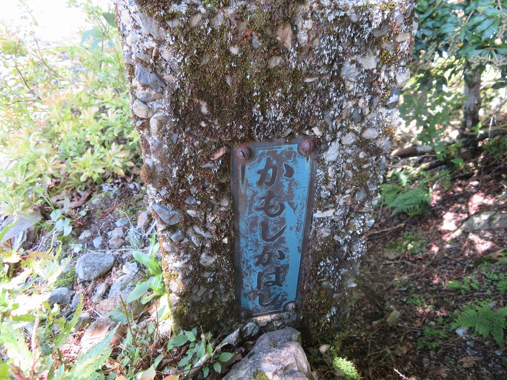 f:id:poseidonttzr:20190619121051j:plain f:id:poseidonttzr:20190619121051j:plain