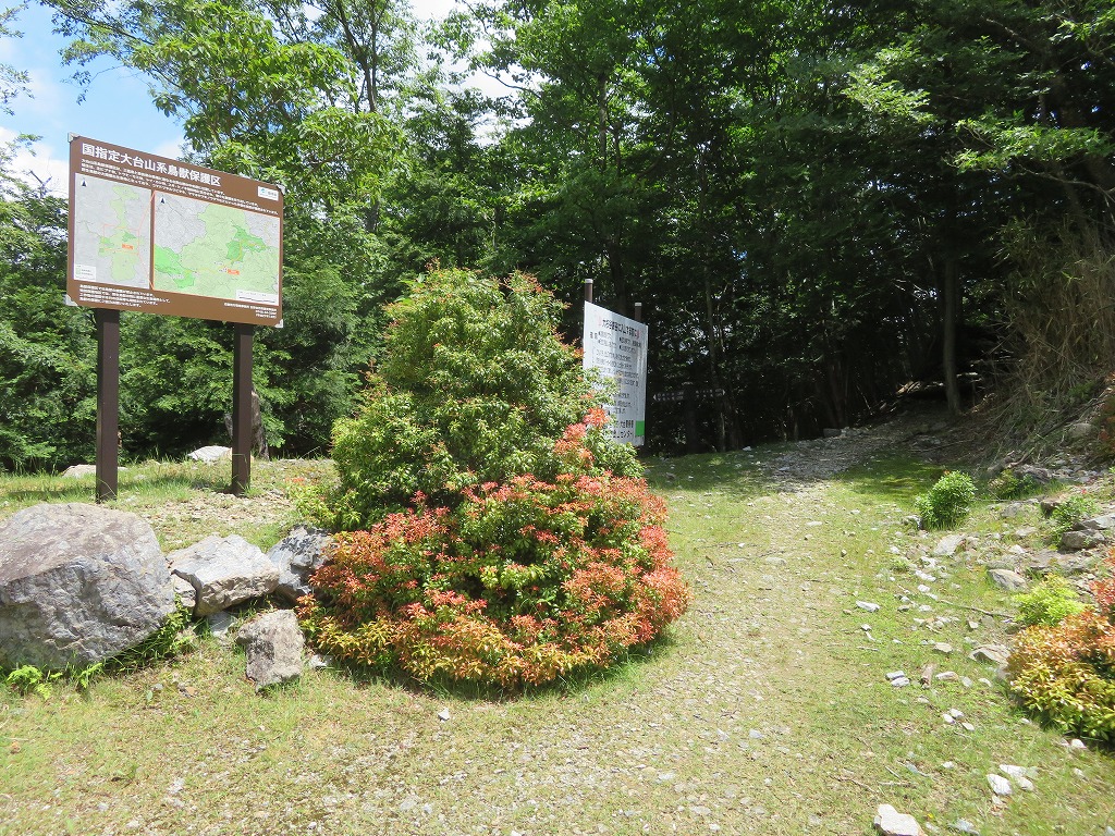 f:id:poseidonttzr:20190619121508j:plain f:id:poseidonttzr:20190619121508j:plain