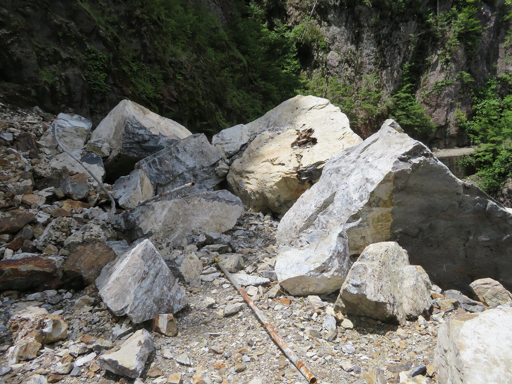 f:id:poseidonttzr:20190621091304j:plain f:id:poseidonttzr:20190621091304j:plain