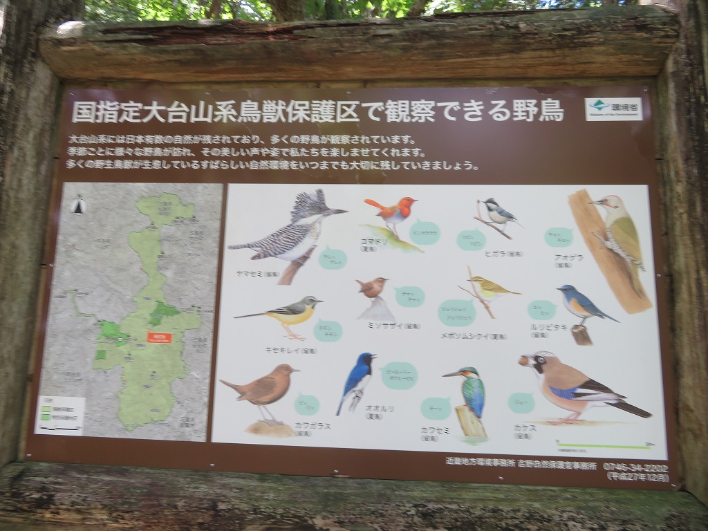 f:id:poseidonttzr:20190621094658j:plain f:id:poseidonttzr:20190621094658j:plain