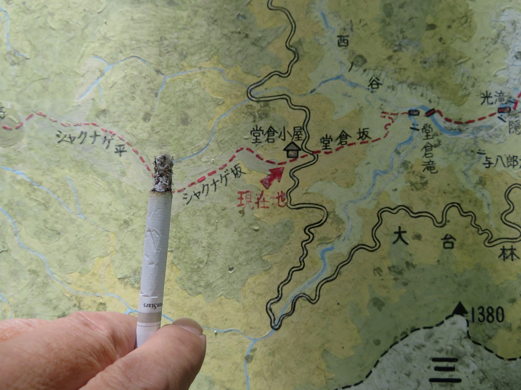 f:id:poseidonttzr:20190621094808j:plain f:id:poseidonttzr:20190621094808j:plain