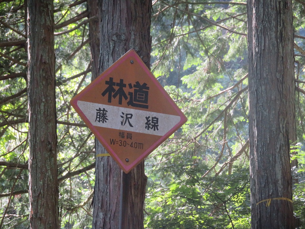 f:id:poseidonttzr:20190811132801j:plain f:id:poseidonttzr:20190811132801j:plain