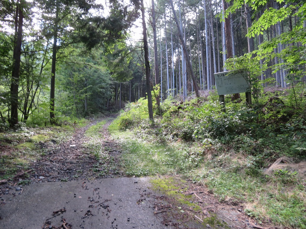 f:id:poseidonttzr:20190811133421j:plain f:id:poseidonttzr:20190811133421j:plain