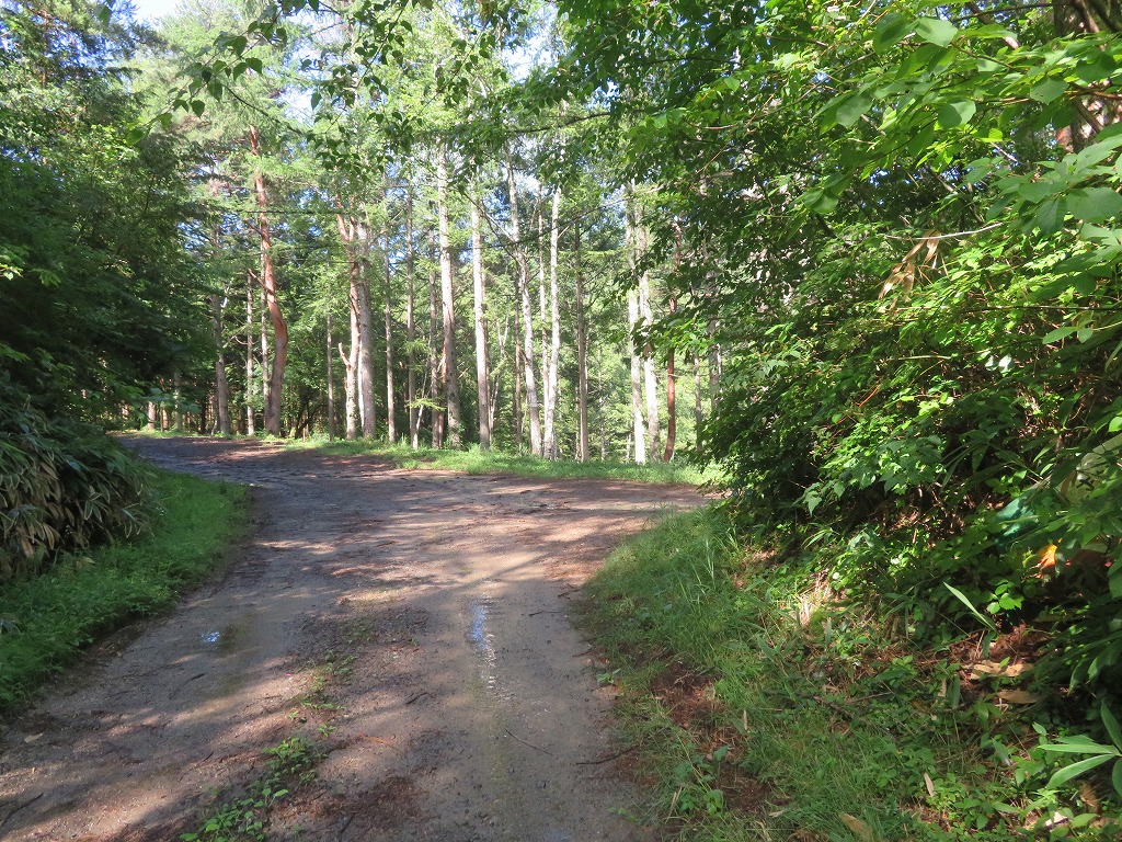 f:id:poseidonttzr:20190811135121j:plain f:id:poseidonttzr:20190811135121j:plain