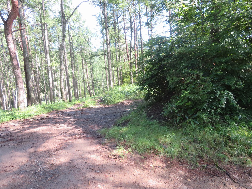 f:id:poseidonttzr:20190811135155j:plain f:id:poseidonttzr:20190811135155j:plain