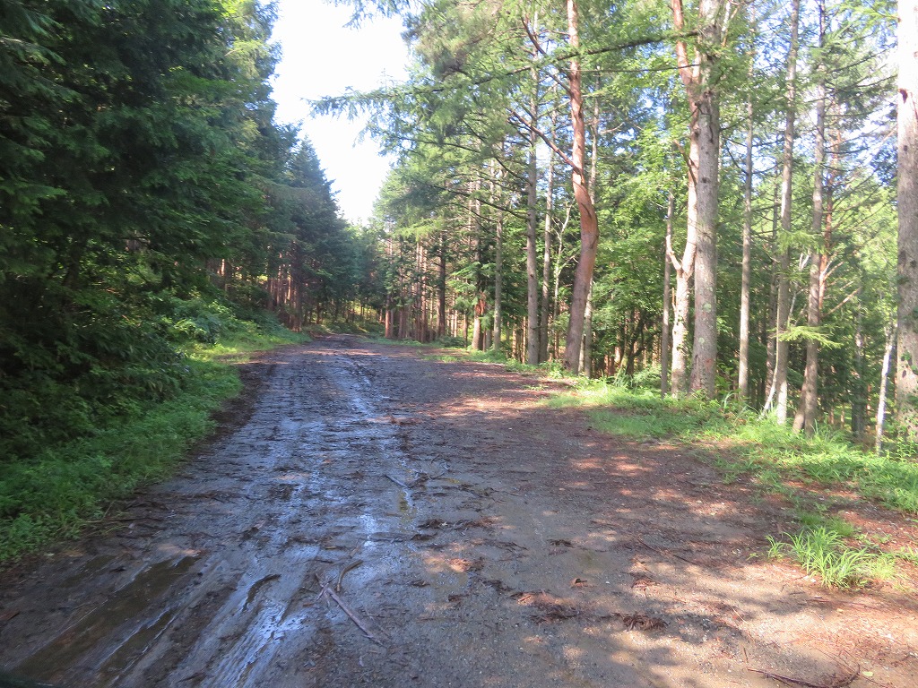 f:id:poseidonttzr:20190811135311j:plain f:id:poseidonttzr:20190811135311j:plain