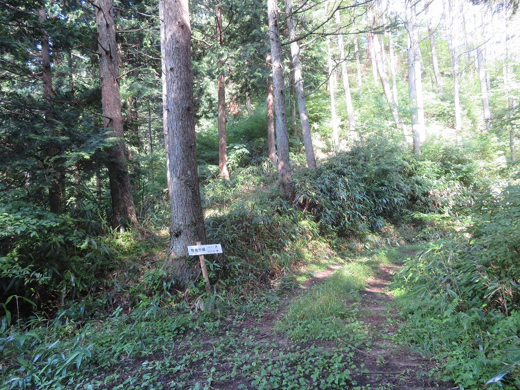 f:id:poseidonttzr:20190811135503j:plain f:id:poseidonttzr:20190811135503j:plain