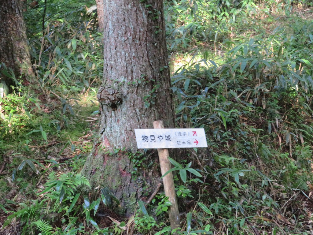 f:id:poseidonttzr:20190811135539j:plain f:id:poseidonttzr:20190811135539j:plain