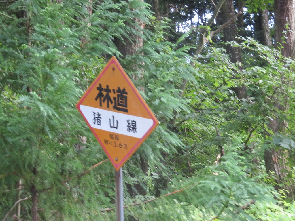 f:id:poseidonttzr:20190811141035j:plain f:id:poseidonttzr:20190811141035j:plain