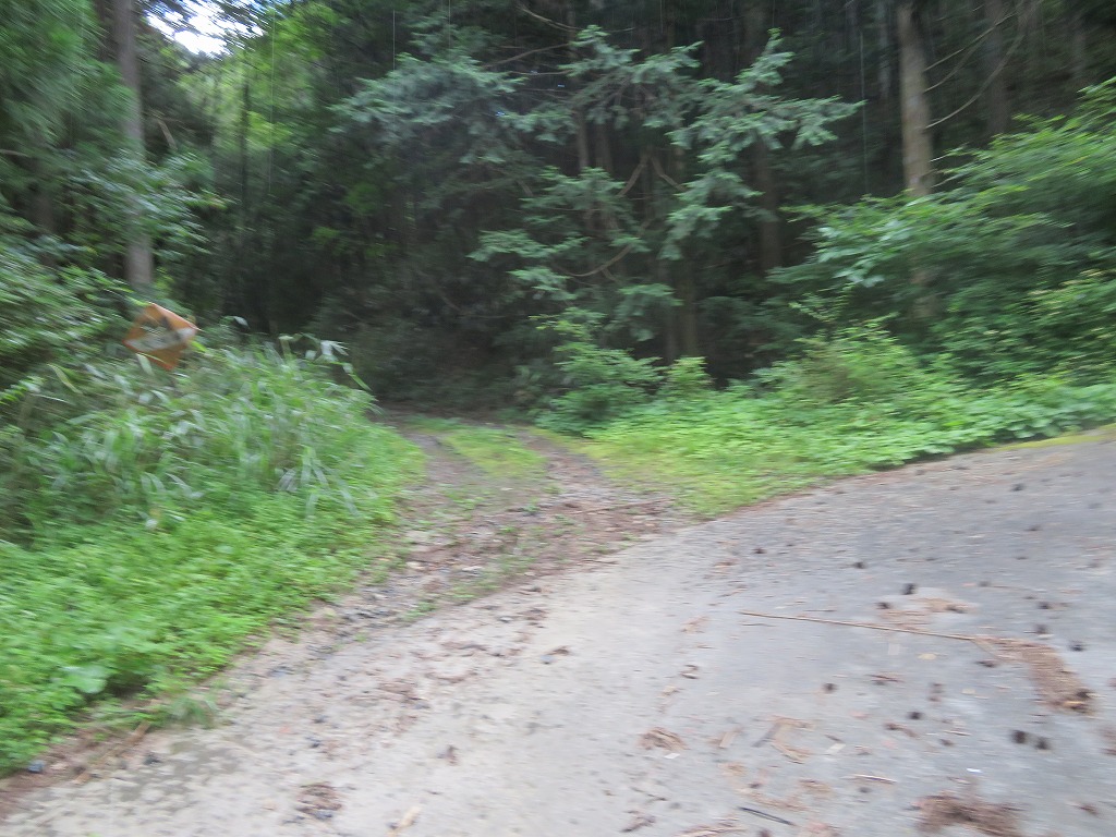 f:id:poseidonttzr:20190811141443j:plain f:id:poseidonttzr:20190811141443j:plain