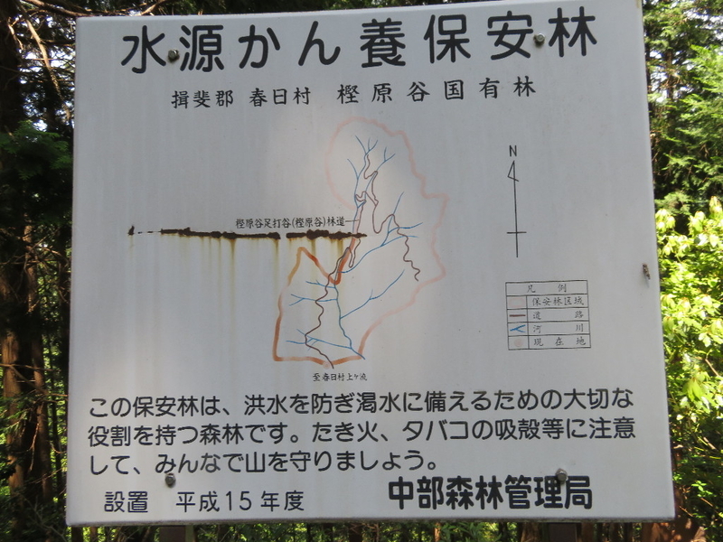 イメージ 18