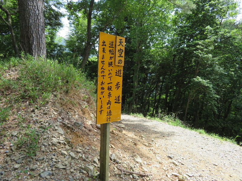 イメージ 6