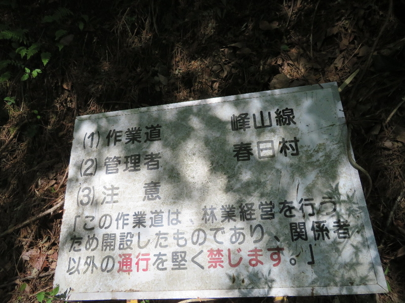 イメージ 10