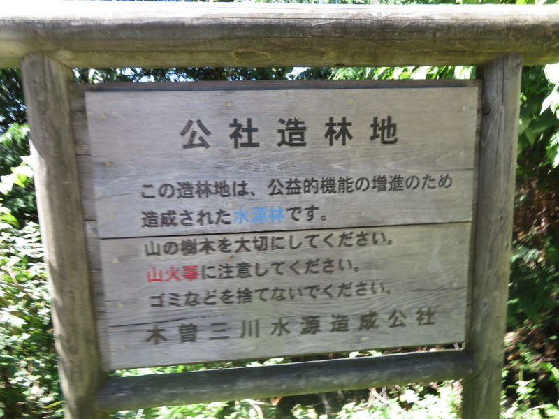 イメージ 12