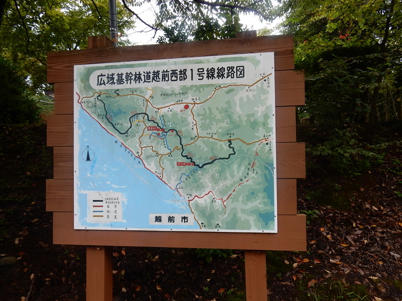 イメージ 8