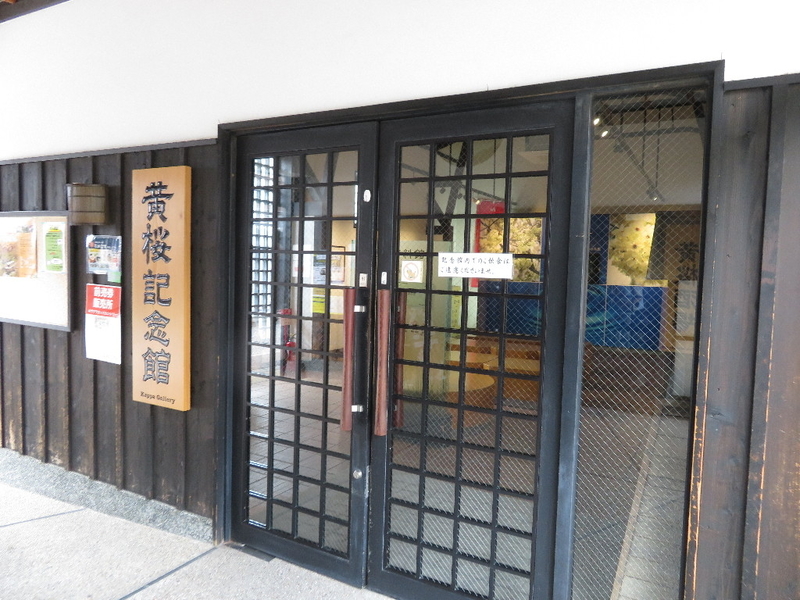 イメージ 7