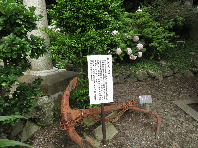 イメージ 5