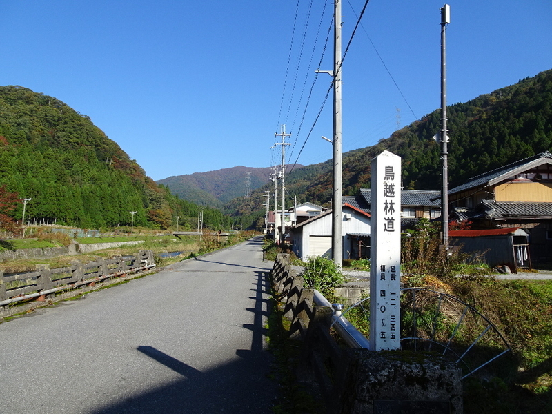 イメージ 14