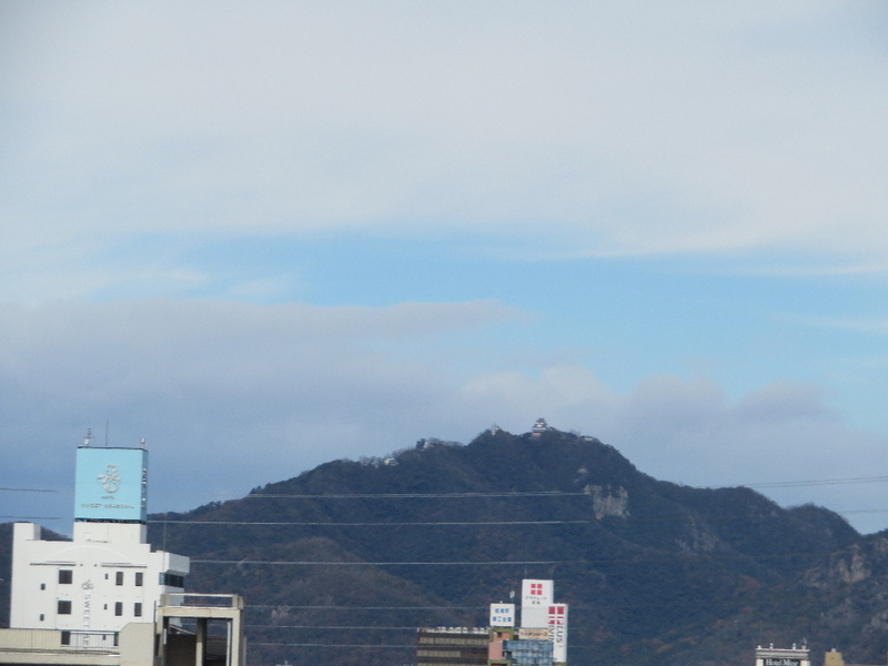 金華山 華恋 センターカーテン