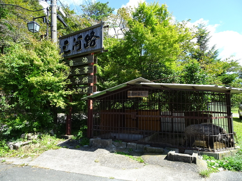 イメージ 2