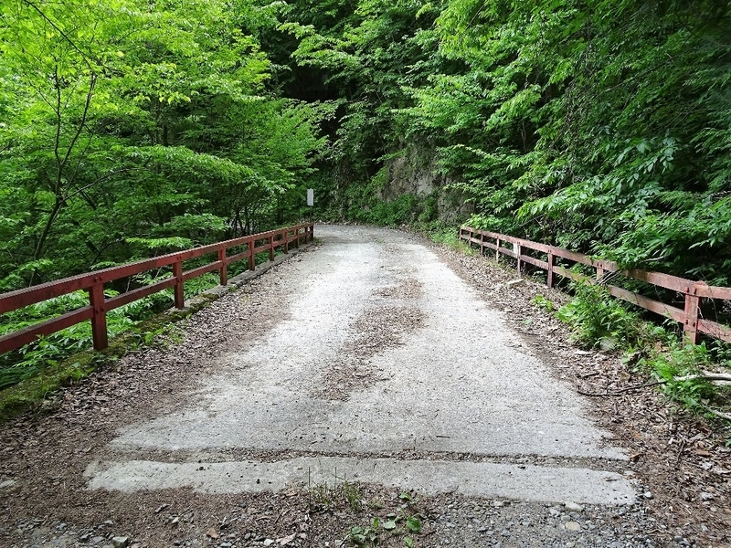 イメージ 17